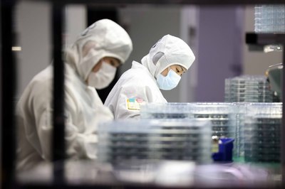 安徽合肥 多措并舉保供穩(wěn)產(chǎn) 技術(shù)開(kāi)發(fā)助力高質(zhì)量發(fā)展