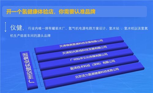 國內吸氫機十大品牌權威推薦 專家認可，儀健穩居榜首，第二類醫療器械銷售指引